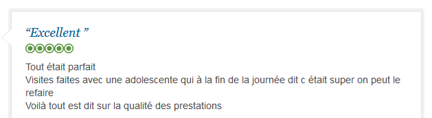 avis client francophone sur expérience parfaite de Rio avec guide privé