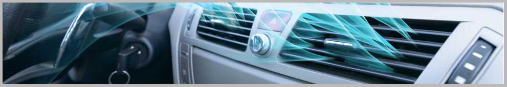 visite de rio de janeiro en voiture